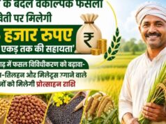 धान के बदले वैकल्पिक फसलों पर 15 हजार रुपये प्रति एकड़ मिलेगी आदान सहायता राशि