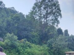 सेवा संकल्प अभियान: गगनई जलाशय में स्वच्छता एवं जल संरक्षण जागरूकता कार्यक्रम आयोजित